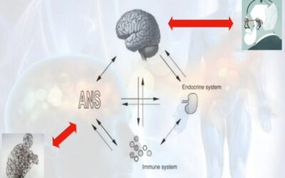 PNEI e osteopatia: lo stesso paradigma nell’impostazione di una terapia integrata