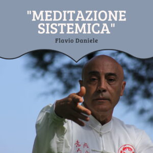 corso online Meditazione sistemica Flavio Daniele