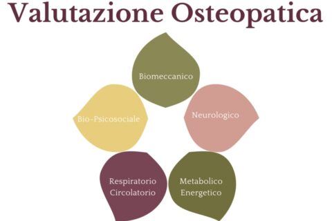 I 5 Modelli Per Una Corretta Ed Efficace Valutazione Osteopatica