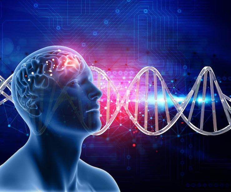 Effetto Placebo Scoperto Nuovo Circuito per il Sollievo dal Dolore