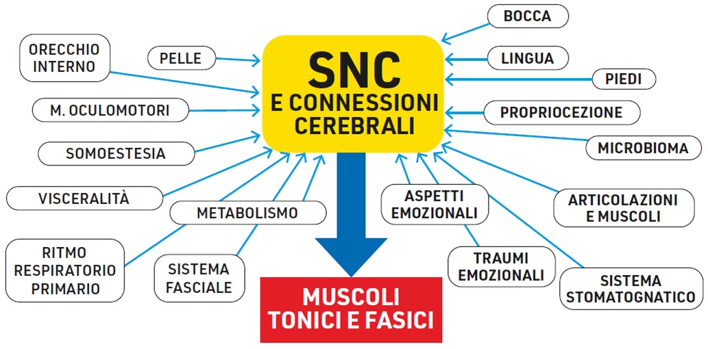 Approccio Razionale al Paziente Disfunzionale Plurisintomatico 2
